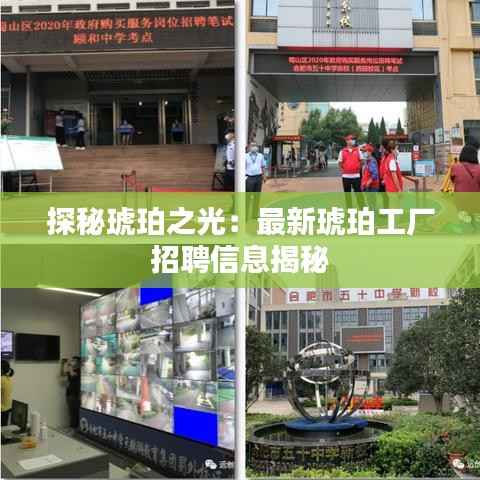 探秘琥珀之光:最新琥珀工厂招聘信息揭秘