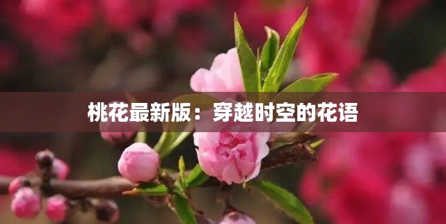 桃花最新版：穿越时空的花语