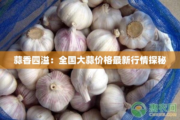 蒜香四溢：全国大蒜价格最新行情探秘