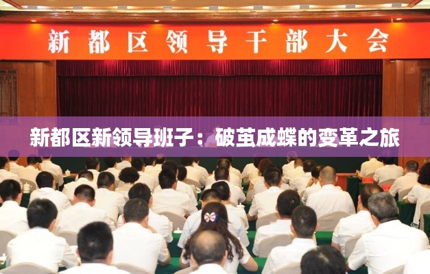 新都区新领导班子:破茧成蝶的变革之旅