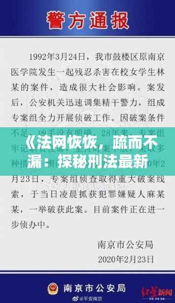 《法网恢恢,疏而不漏:探秘刑法最新修正案的智慧之光》