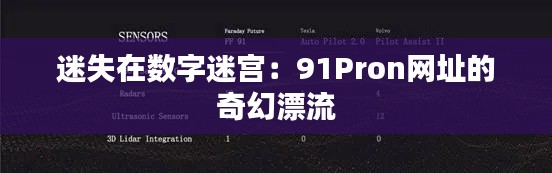 迷失在数字迷宫:91Pron网址的奇幻漂流