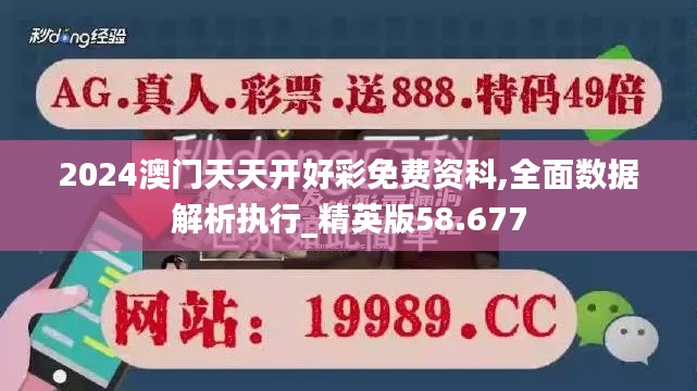 2024澳门天天开好彩免费资科,全面数据解析执行_精英版58.677