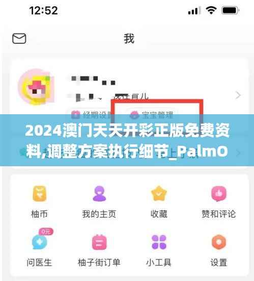 2024澳门天天开彩正版免费资料,调整方案执行细节_PalmOS9.702