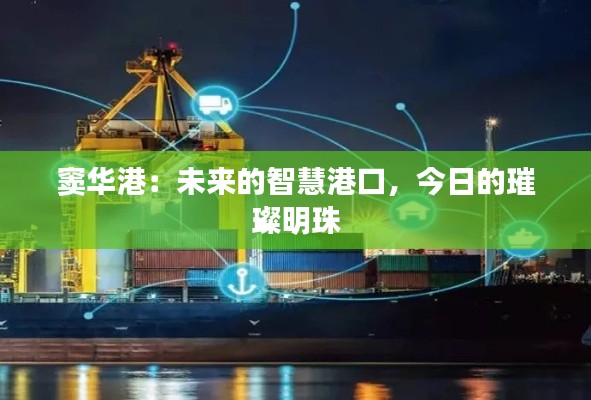 窦华港:未来的智慧港口,今日的璀璨明珠