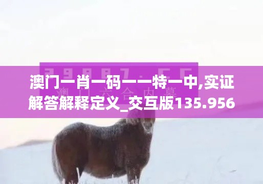 澳门一肖一码一一特一中,实证解答解释定义_交互版135.956