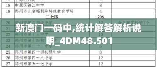 新澳门一码中,统计解答解析说明_4DM48.501