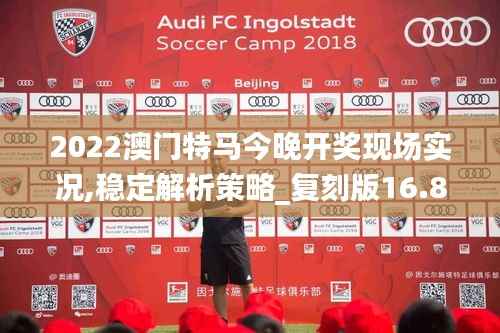 加入我们 第267页