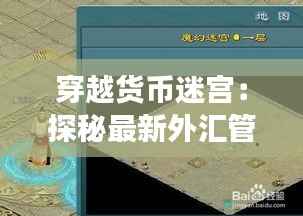 穿越货币迷宫:探秘最新外汇管理个人规定的奇幻之旅