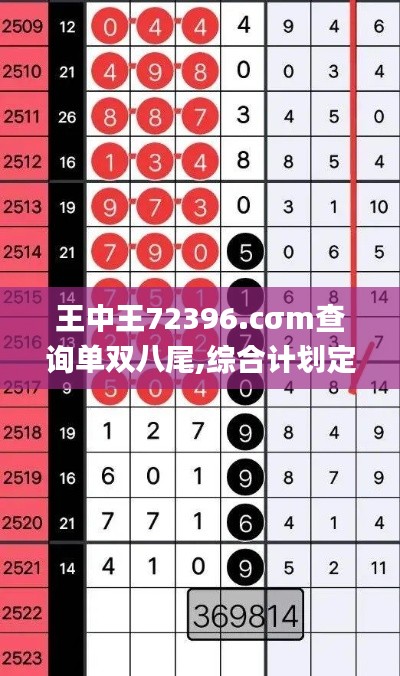王中王72396.cσm查询单双八尾,综合计划定义评估_定制版2.821