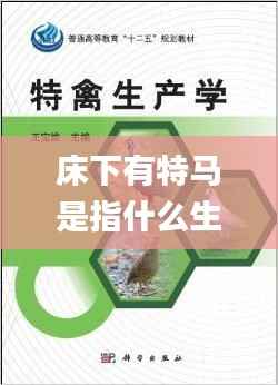床下有特马是指什么生肖,整体规划讲解_SE版8.321