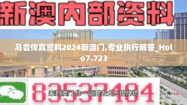 马会传真资料2024新澳门,专业执行解答_Holo7.723