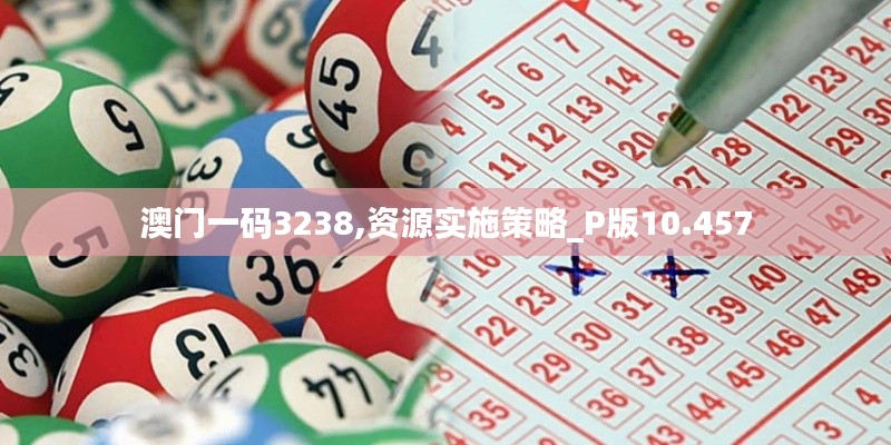 澳门一码3238,资源实施策略_P版10.457