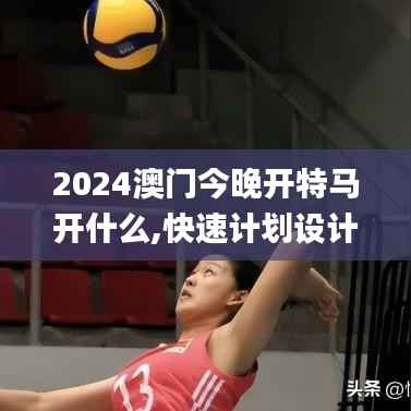 2024澳门今晚开特马开什么,快速计划设计解析_优选版4.645