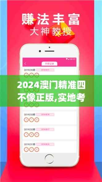 2024澳门精准四不像正版,实地考察数据设计_R版2.939