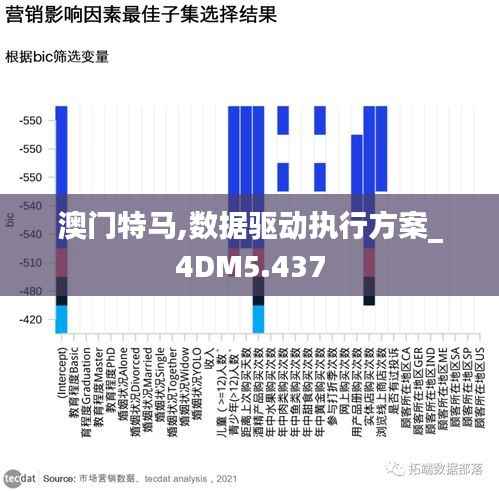 澳门特马,数据驱动执行方案_4DM5.437