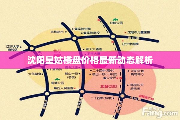 沈阳皇姑楼盘价格最新动态解析