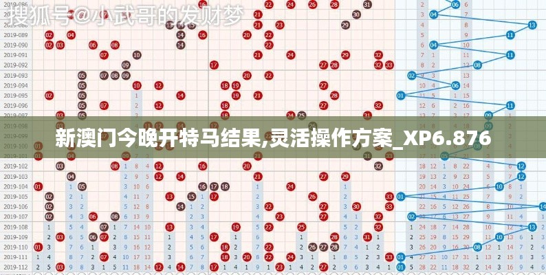新澳门今晚开特马结果,灵活操作方案_XP6.876
