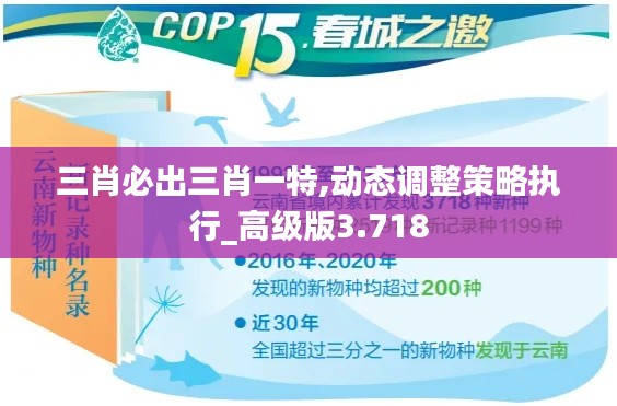 三肖必出三肖一特,动态调整策略执行_高级版3.718