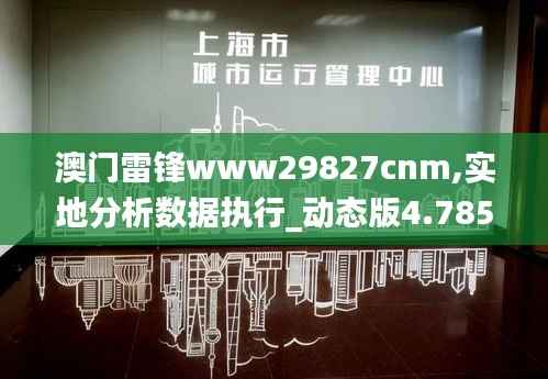 澳门雷锋www29827cnm,实地分析数据执行_动态版4.785