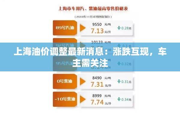上海油价调整最新消息:涨跌互现,车主需关注