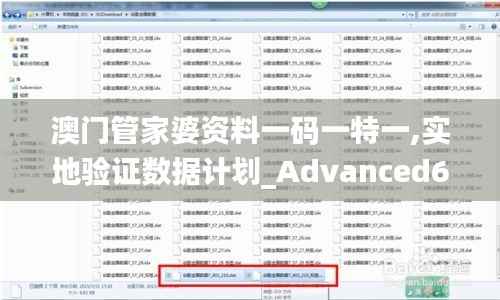 澳门管家婆资料一码一特一,实地验证数据计划_Advanced6.201