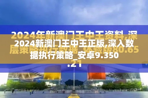 2024新澳门王中王正版,深入数据执行策略_安卓9.350