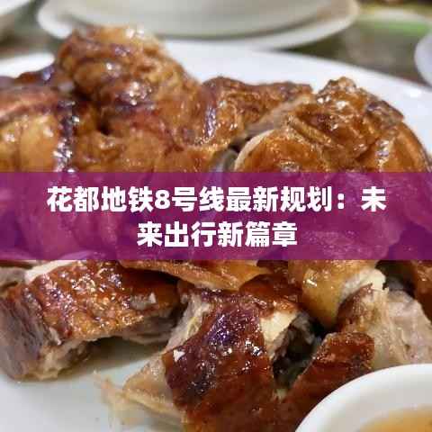 花都地铁8号线最新规划：未来出行新篇章