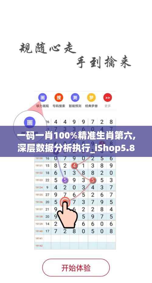 一码一肖100%精准生肖第六,深层数据分析执行_iShop5.843