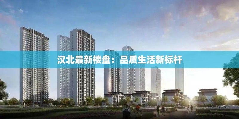 汉北最新楼盘：品质生活新标杆