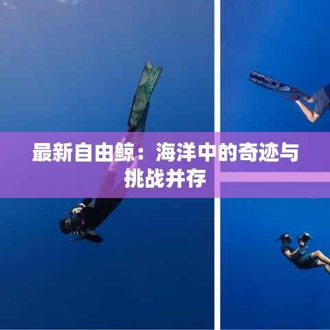 最新自由鲸:海洋中的奇迹与挑战并存