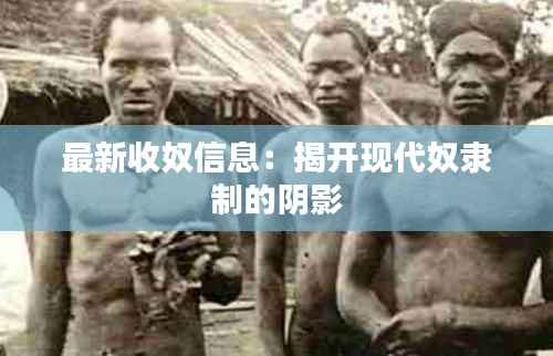 最新收奴信息：揭开现代奴隶制的阴影