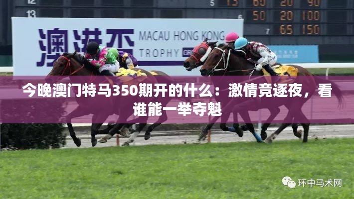 高谈阔论 第4页