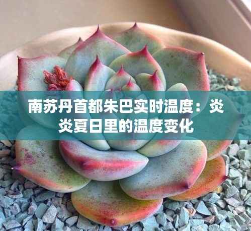 南苏丹首都朱巴实时温度:炎炎夏日里的温度变化