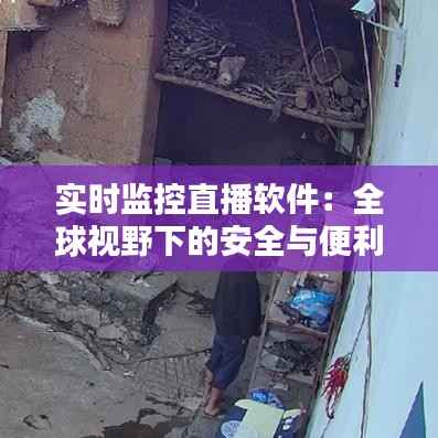 实时监控直播软件：全球视野下的安全与便利