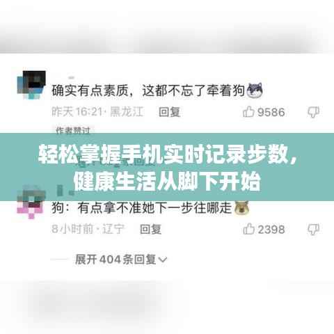 轻松掌握手机实时记录步数，健康生活从脚下开始