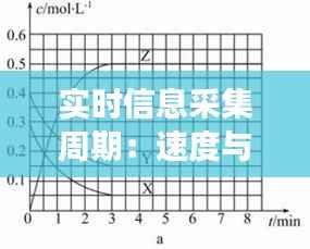 实时信息采集周期：速度与效率的平衡艺术