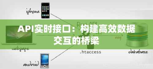 API实时接口:构建高效数据交互的桥梁