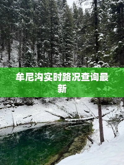 牟尼沟实时路况查询最新