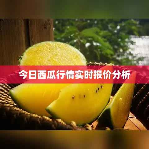 今日西瓜行情实时报价分析