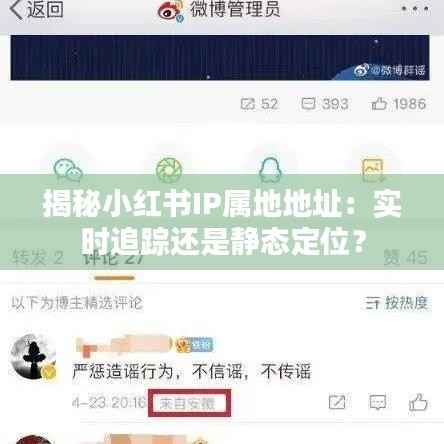 揭秘小红书IP属地地址:实时追踪还是静态定位?