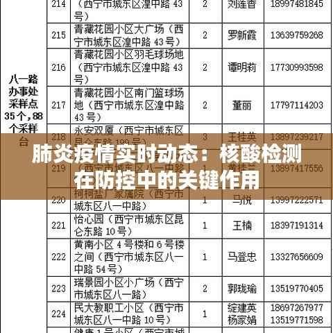 肺炎疫情实时动态:核酸检测在防控中的关键作用