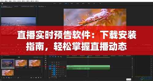 直播实时预告软件：下载安装指南，轻松掌握直播动态