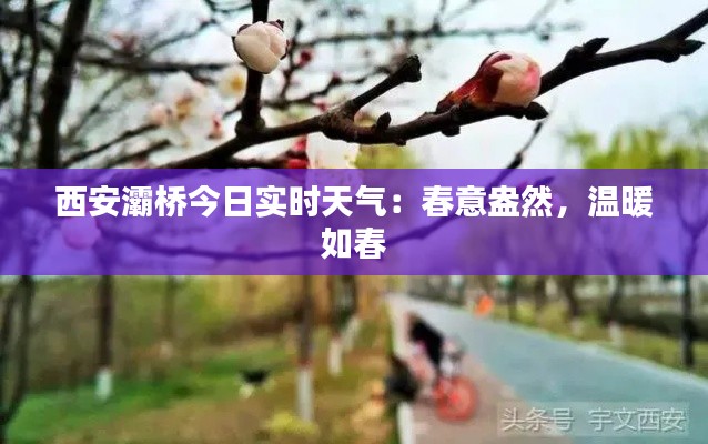 西安灞桥今日实时天气：春意盎然，温暖如春