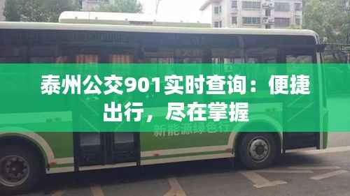 泰州公交901实时查询：便捷出行，尽在掌握