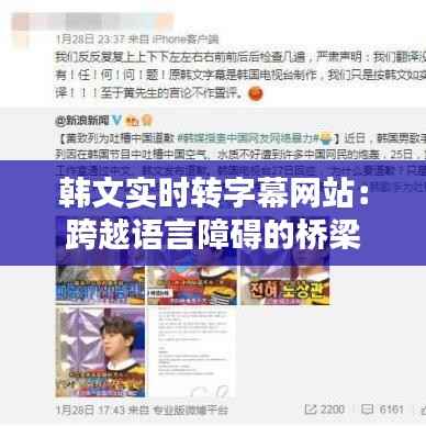 韩文实时转字幕网站：跨越语言障碍的桥梁