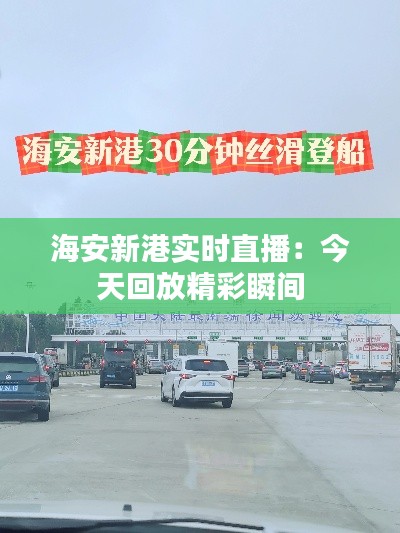海安新港实时直播:今天回放精彩瞬间
