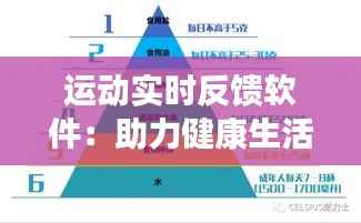运动实时反馈软件：助力健康生活的新伙伴