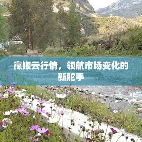 赢顺云行情，领航市场变化的新舵手
