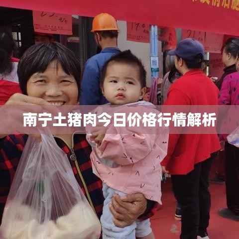 南宁土猪肉今日价格行情解析